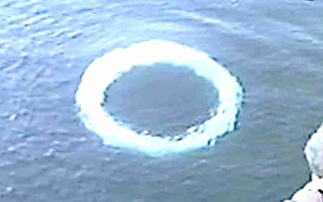 This Chief Scientists Revealed Their Drone Accidentally Detected Something That It Shouldn't Have