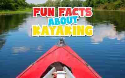 Facts about Kayak. An ancient water transportation you should know.