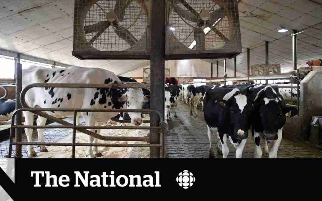 Ontario farmers concerned housing crisis will decrease available land