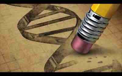 Plenary Session – Day 1, 2016 April, 12th – Jack Uldrich