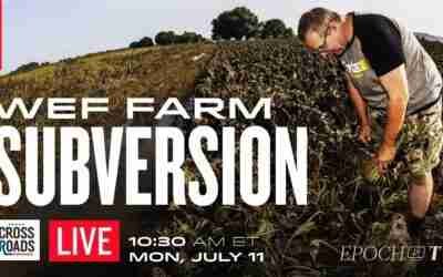 Netherlands Partnered with WEF to Subvert Global Food Ahead of Farm Bans | Crossroads