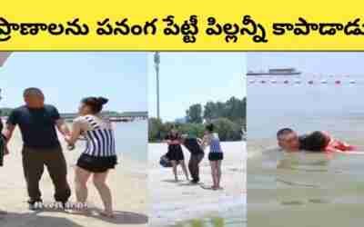 ?? Humanity ?? | Risk | #shorts#telugufacts #viral #youtubeshorts #nabifactstelugu