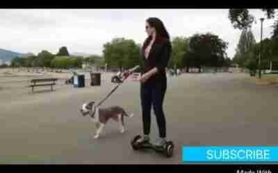 Top 5 FUTURISTIC MODE OF TRANSPORT 2016