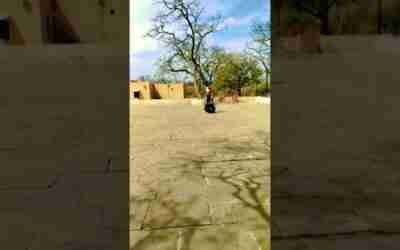 #self #scooter #damru #hoverboard  #electric #akshaykumar  #shiv #jaipur #forts #savan