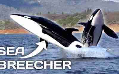 10 Water Vehicles You Can Actually Buy