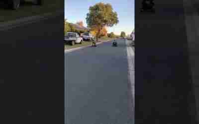 Racing on the hoverboard #shorts