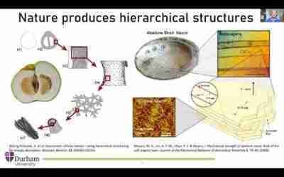 Dr Stefan Szyniszewski: Bio inspired metallic ceramic non cuttable material
