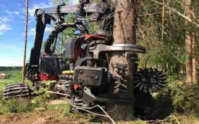 World's Modern Long Reach Excavator Machine Working – Heavy Equipment Cutting Big Tree Machine