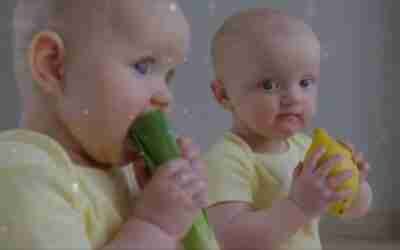 THE LAST KINGDOM – CRISPR & Genetic Code Experiments!!