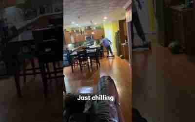 Chilling on The Hoverboard.