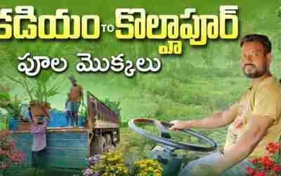 kadiyam to Kolhapur polamakkalu loading travelling video rafi truck vlogs