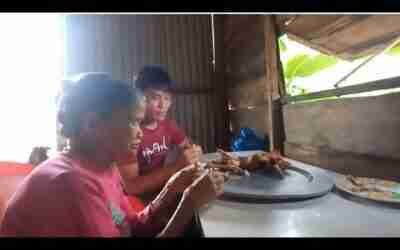 Caring for the Fish Pond, Taking Care of Mom Old Age, Future Life, Episode 73