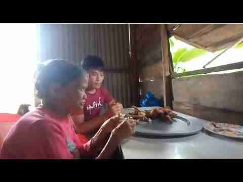 Caring for the Fish Pond, Taking Care of Mom Old Age, Future Life, Episode 73