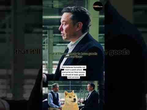 ELON MUSK TESLA CRYPTO BITCOIN ETH DOGECOIN 6