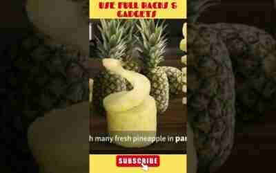 Amazon Best KITCHEN GADGETS OF 2022 Tools, Utensils,  Smart Appliances, New Gadgets, Amazon products