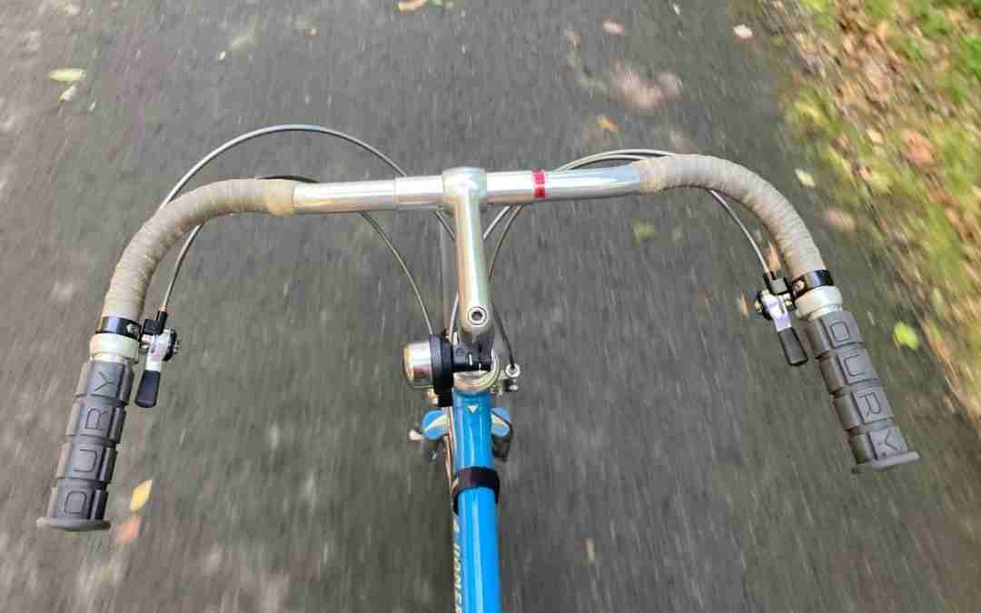 Flipping Out – Bike Snob NYC