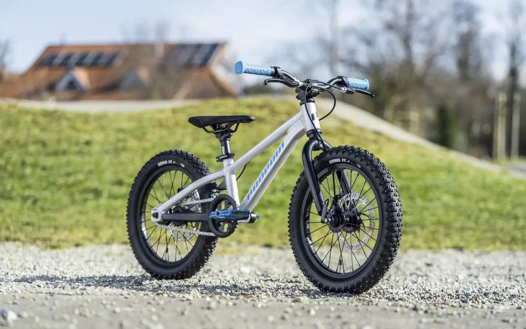 Propain Release Barney 16″ Single-Speed Kids MTB for 3-6 Year-Olds