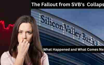 The Anatomy of a Bank Collapse