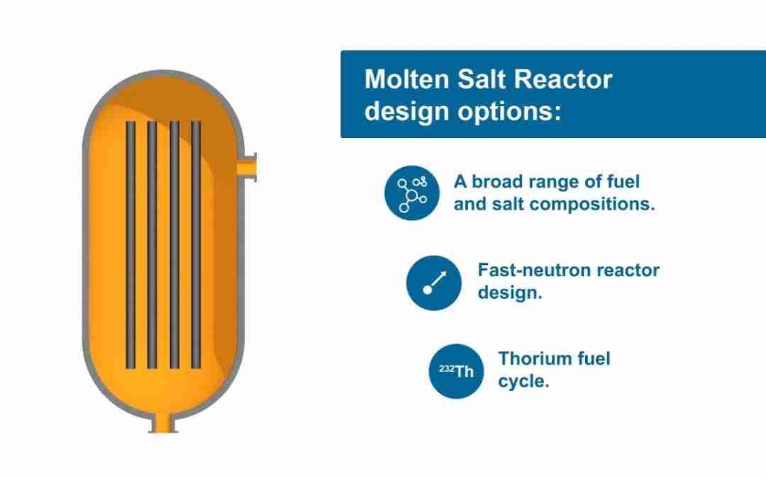 Molten Salt Reactor Fundamentals
