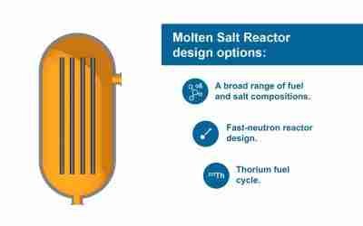 Molten Salt Reactor Fundamentals