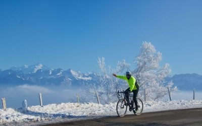 2023 Cycling and Cow Calendars – My Cycling Challenge