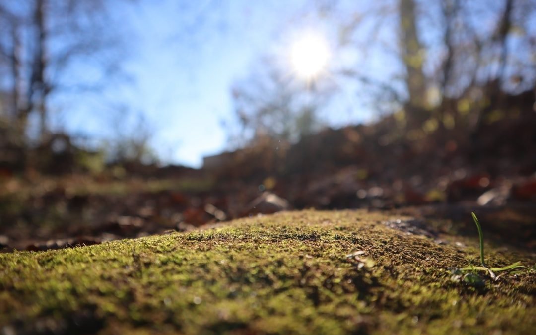 Unemployed and Looking for Work