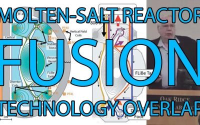 Molten-Salt Fusion Reactors and Molten-Salt Fission Reactors – Dr. Charles Forsberg @ ORNL MSRW 2019