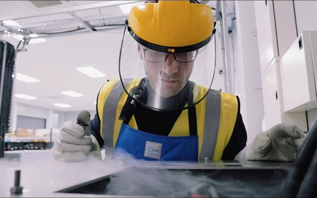 Extremes of temperature in a fusion reactor