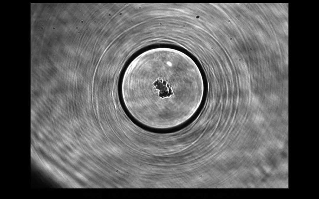 Neutron Cavitation Fusion Reactors Impulse Devices Inc