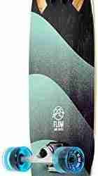 Cruiser Skateboard with Carving Truck