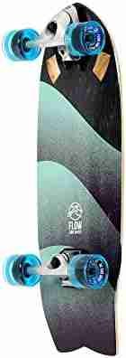 Cruiser Skateboard with Carving Truck