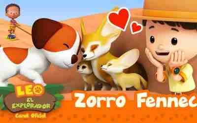 Zorro Fennec 🦊 | Leo, El Explorador Episodio | Animación | #compilation
