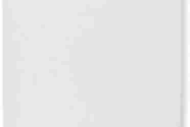 Moose Blank Skateboard Deck