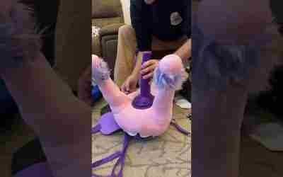 CUTE Baby Girl Unboxes Her NEW Power Pony HOVERBOARD! Fun Ride on Interactive Toy Pony! #unboxing