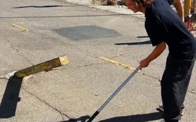 @frankyvillani @jon1of1 @trentmcclung @_kyonosuke_: @alexkissinger
#primiti…