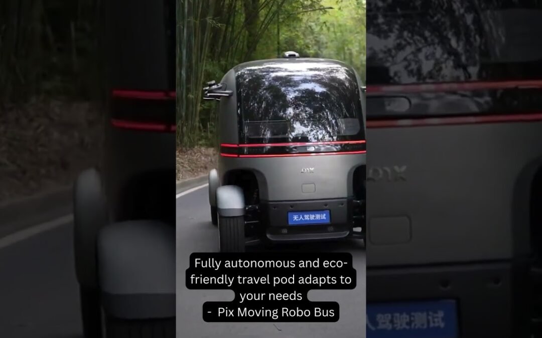 The Self-Driving Future of Public Transport!