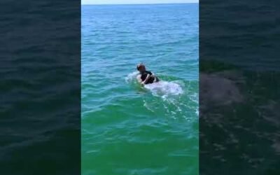 CudaJet Underwater Jetpack – Thrill Ride