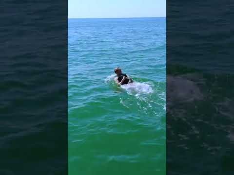 CudaJet Underwater Jetpack – Thrill Ride