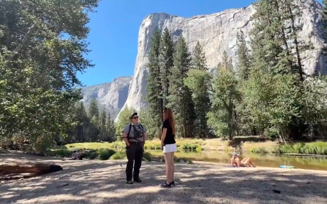 Why Bear Spray Is Strictly Forbidden At Yosemite National Park