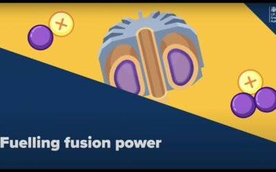 Fuelling fusion power