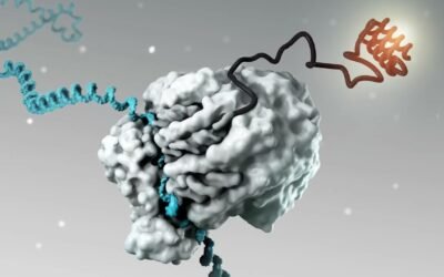 [daily news briefing] “NSF Boosts Fusion Research: Paving the Way for Clean and Sustainabl